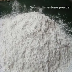 Кальциевый порошок (гипсовый известок) для обработки почвы, строительства, промышленного применения, экологически чистый, производство Тайцан, кальций - Product Image 3