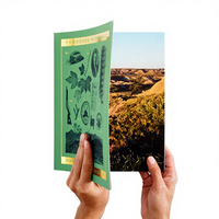 Livre à couverture souple personnalisable avec estampage à chaud or et argent et gaufrage sur papier couché Reliure parfaite