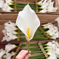 Realistische EVA Calla-Lilien Künstliche Blumen Großhandel Hochzeitsdekoration Künstliche Blumenstiele Party Heimdekoration