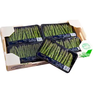 Karton plastik tahan air langsung dari pabrik untuk karton sayuran dan buah dan kotak asparagus pertanian