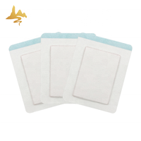Hot & Cold Packs Patch transdermique Nouveau produit-Pansements chinois à base de plantes pour le soulagement de la douleur sciatique du dos