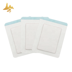 Parche transdérmico <span class=keywords><strong>de</strong></span> paquetes calientes <span class=keywords><strong>y</strong></span> fríos Nuevo producto-Yesos <span class=keywords><strong>de</strong></span> hierbas chinas para aliviar el <span class=keywords><strong>dolor</strong></span> <span class=keywords><strong>de</strong></span> ciática en la espalda - Product Image 2