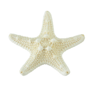 5-8 cm Naturale Mediterraneo Sea Stars Carino Mini Stelle Marine Decorazione del Mestiere di DIY Conchiglie Sulla Spiaggia Cottage Bambini Arredamento Camera Da Letto ornamenti - Product Image 1