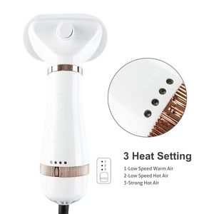 Sèche-cheveux pour animaux de compagnie, brosse de toilettage 2 en 1, peigne en acier inoxydable ABS, alimenté par batterie, pour chat et chien - Product Image 1
