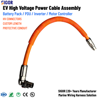 Harnais de câblage personnalisé haute tension en PVC/PBT/PTFE, assemblage de câbles étanche IP67 pour batterie automobile, onduleur PDU, contrôleur de moteur