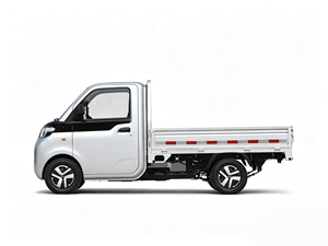 Camioneta Eléctrica Mini RHD/LHD en Oferta, Autonomía de 150 km, 4x2, Cabina Sencilla, Camión Pequeño de Carga con Plataforma Abatible para Entrega de Última Milla, Capacidad de 720 kg - Product Image 6