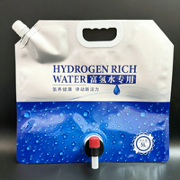 Pochettes souples personnalisées pour eau minérale et jus, avec valve jetable en PE, idéales pour le camping, les concerts et les festivals de musique