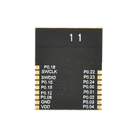 Module BLE 20 dBm 2,4 GHz à faible consommation d'énergie, module personnalisable GFSK SOC, modules sans fil pour balises connectées
