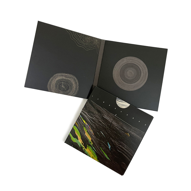Custom Printing Paper Cardboard Packing Sleeves Music Disk CD DVD Packaging Duplication Digipack