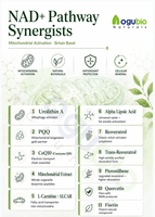 Polysorbate 40 de haute pureté au meilleur prix de gros, CAS 9005-66-7, émulsifiant de qualité cosmétique, Tween-40, Polysorbate 40 liquide