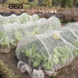 Meilleure solution pour installer une moustiquaire transparente pour couvrir les plantes de tomates dans un tunnel polyvalent - Product Image 3