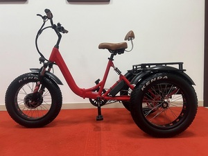 20inch Electric Trike Adults 750w Motor Fat Tire 3 Wheel Electric Bike Electronic 3 Wheels Adult Cargo Electric Tricycle