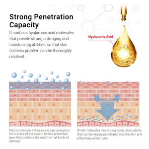 <span class=keywords><strong>BREYLEE</strong></span> Sérum visage anti-âge anti-rides pour soins de la peau - Product Image 2