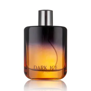 Factory Wholesale 100ML Dark Ice Private Label Custom Logo Unisex Perfume Fragrance