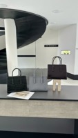 Sac fourre-tout élégant pour femme, nouvelle collection 2026, style de créateur de luxe, sac à main tendance, sac bandoulière pour le shopping et les soirées