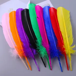 Pasokan produsen 25-35cm campuran warna Turki sayap bulu Quill untuk Karnaval DIY membuat dekorasi