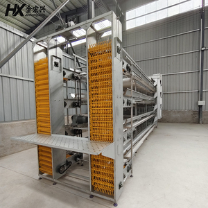 Sistema de Jaulas para <span class=keywords><strong>Gallinas</strong></span> Ponedoras, Sistema Inteligente de Jaulas para Aves de Corral, Malla de Alambre Galvanizado Tipo H, Jaula Automática para Aves de Corral - Product Image 2