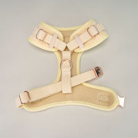 Sunraymascota Nouveau Harnais pour Animaux de Compagnie 2025 – Ensemble de Harnais pour Chien en Velours Côtelé, Conception Personnalisée, Vente en Gros