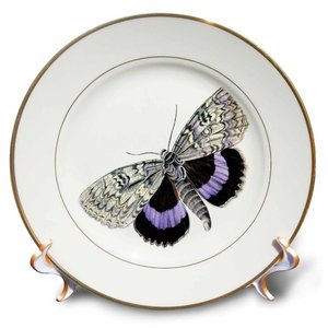 Farklı renk kanatları plaka ile kelebek seramik plakalar altın porselen tabak dekoratif Salver sofra yemeği çanak - Product Image 1