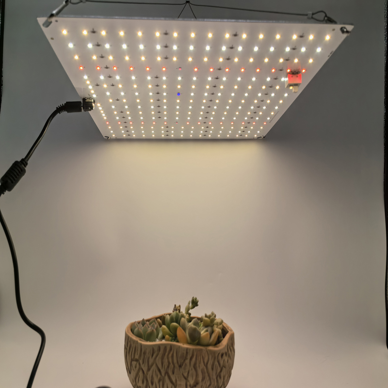 Full Spectrum LED Grow Light for