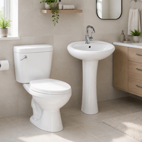 WC et lavabos en gros, économiques et abordables, sanitaires avec lavabos intégrés