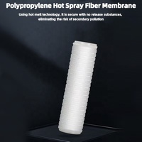 10/20 pouces 5μm pp plissé déionisation rechargeable sédiments Ro cartouche de filtre à eau à haut débit de purificateur d'eau