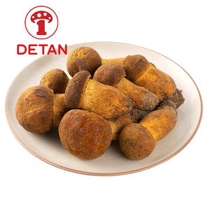 Hongo salvaje <span class=keywords><strong>fresco</strong></span> salvaje de alta calidad Detan Porcini Yunnan Wild <span class=keywords><strong>Boletus</strong></span> con <span class=keywords><strong>precio</strong></span> al por mayor - Product Image 4