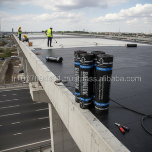 Membrane d'encastrement de l'eau, v APP, Membrane d'estampillage modifié pour les Applications viaddt - Product Image 3