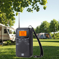 Anpassbare W-206/AM/FM Radio-Starkes Signal/eine neue Wahl für klassische Radios