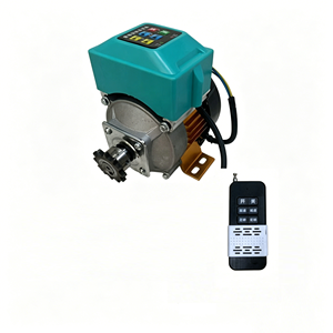 Motor CC sin escobillas BLDC de alta eficiencia y baja velocidad 500W 650W 800W 12V con control remoto y freno para cabrestante - Product Image 5