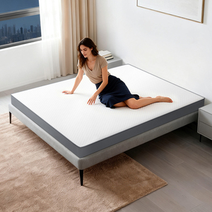 Trắng Mite kháng vải dệt kim mềm mại và thoải mái bọt Bộ nhớ bọt hỗ trợ bọt thoáng khí không dệt vải nệm - Product Image 1