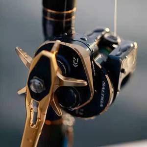 Carrete de Pesca Daiwa Saltiga IC 300H, Carrete de Jigging de Aleación de Aluminio para Pesca en Barco, Mano Derecha, 405G, Uso en Océano - Product Image 2