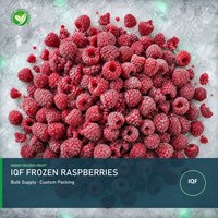 Frambuesas Congeladas XMSD LQF con Empaque a Granel, Soluciones OEM y de Marca Privada para Importadores y Marcas de Alimentos