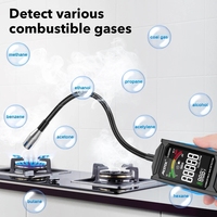 CGD05A Détecteur de gaz combustible numérique à maintien de données 50000 PPM LEL USB type-C charge triple alarme