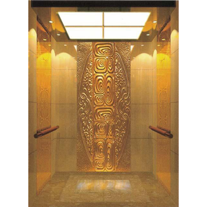 400kg ~ 2000kg 1.0 mét/giây ~ 6.0 mét/giây hành khách thang máy dân cư thang máy hành khách thang máy 600kg - Product Image 6