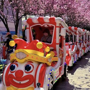 Высококачественный индивидуальный безрельсовый туристический поезд-аттракцион для детей в стиле клоунов - Product Image 2