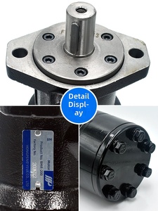 Motore Idraulico a Pistone 110A/116A/112A-106/054/036/088/129-AS/<span class=keywords><strong>BS</strong></span>-0 1000 RPM Cina Continentale - Product Image 4