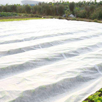 Rouleau de tissu non tissé en polypropylène (PP) 60 g/m² pour la protection des cultures et le contrôle des adventices
