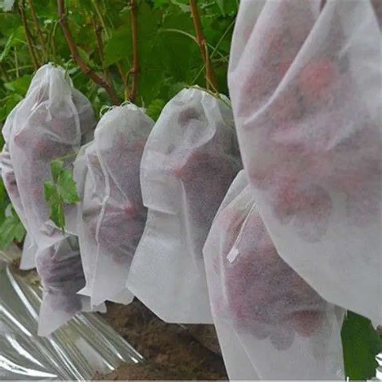 Sacchetti di alta qualità sacchetto di protezione della copertura della frutta dell'uva sacchetto di protezione della copertura della frutta in tessuto Non tessuto bianco Fuit