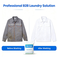 Poudre de lavage synthétique sans brosse à basse température Xiangtao SX3100 25kg, détergent de qualité industrielle, pureté 99% pour