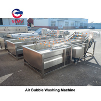 Commerciële Tomaat Wasmachine En Droger Machine Fruit Groente Bubbel Wasmachine Fruit Tomaat Mango Wasmachine Reinigingsmachine