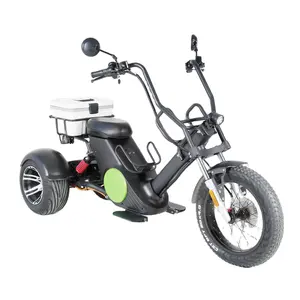 Rooder 60v battery powered 3 wheel disabled electric scooter mobility scooter