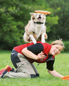 Meilleur <span class=keywords><strong>collier</strong></span> de contrôle des aboiements électriques <span class=keywords><strong>pour</strong></span> petits, moyens et grands chiens Cadeau en plastique et nylon durables - Product Image 3