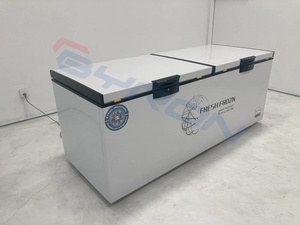 Congélateur coffre commercial neuf 100-2650 litres, congélateur coffre à porte simple, congélateur coffre domestique avec panier - Product Image 4