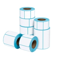 Etiqueta Adhesiva Impermeable para Impresora Portátil de Escritorio, Rollo de Etiquetas de Transferencia Térmica para Códigos de Barras, Directo de Fábrica