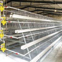 Nouvelles cages à poules pondeuses en acier galvanisé de type A, 120, 128, 160 poules, 4 niveaux, automatiques, longue durée de vie, garantie 1 an