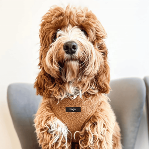 Özel Veet Teddy kedi Polyester polar tasma toka kanca döngü kapatma kurdela baskı desen Pet malzemeleri sıcak satış koşum - Product Image 6