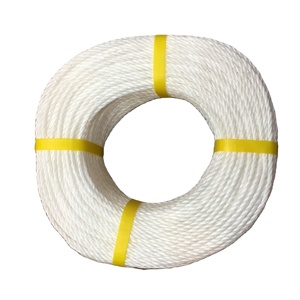 Độ Bền Kéo Cao Xoắn Màu Trắng PP <span class=keywords><strong>Polypropylene</strong></span> Danline <span class=keywords><strong>Rope</strong></span> Để Câu Cá - Product Image 4