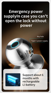 ลูกบิดประตูทรงกลมอลูมิเนียมอัลลอยด์อัจฉริยะ Tuya พร้อมระบบสแกนลายนิ้วมือ  แบบไม่ใช้กุญแจ สำหรับประตูห้องนอนและอพาร์ตเมนต์ - Product Image 6