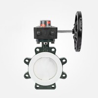Katup Kupu-kupu Berlapis PFA / PTFE Sepenuhnya dengan Pengoperasian Gearbox